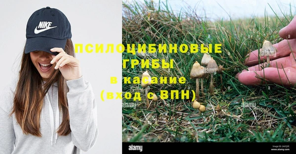 синтетический гашиш Алексеевка